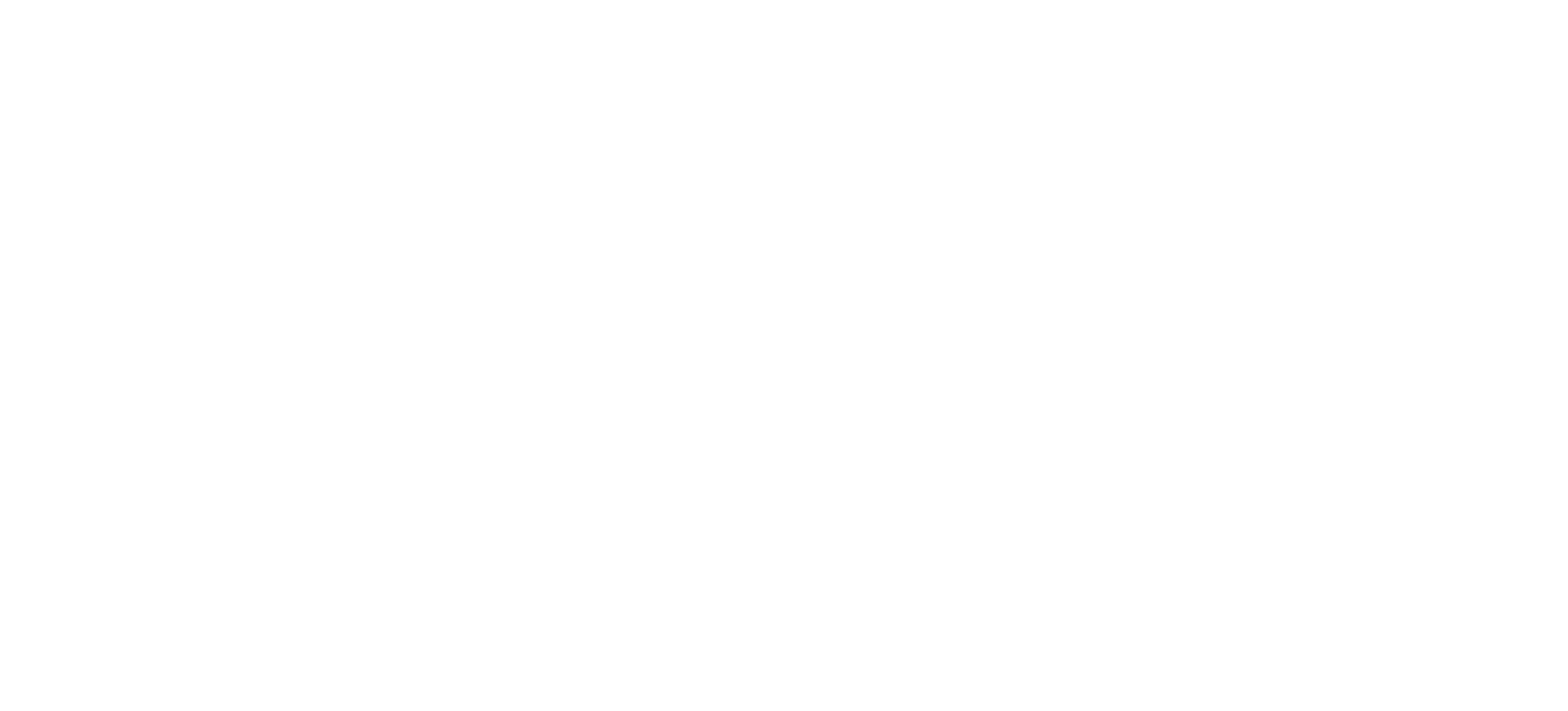 DNSW Logo 1 Rectangle