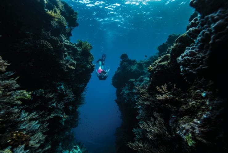 EXPLORE CAIRNS AND THE GREAT BARRIER REEF